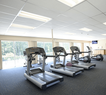 A gym with treadmills and elliptical machines.